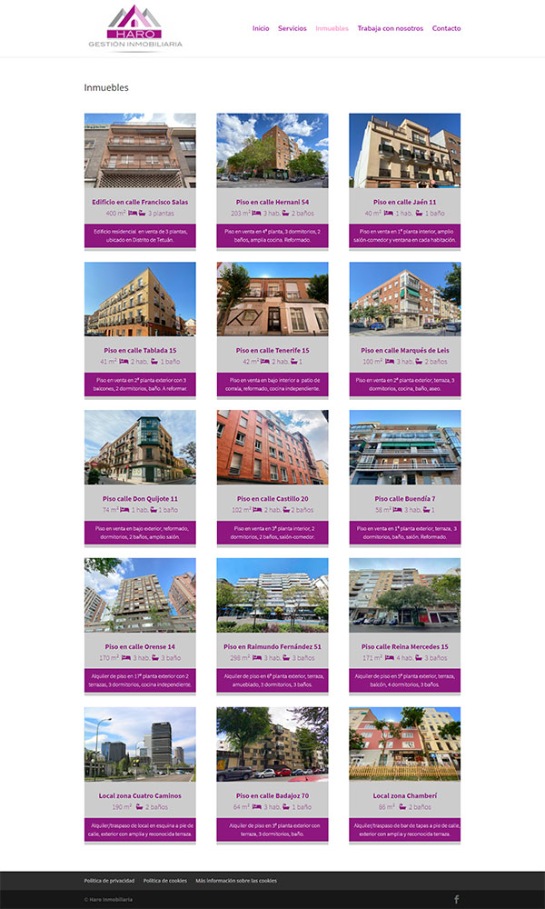 Diseño página web inmobiliaria repertorio de inmuebles