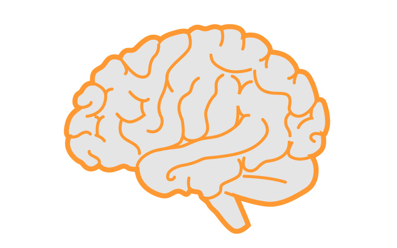 El Neuromarketing y los procesos cognitivos en la mente del consumidor